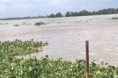 Đồng Tháp: Phát hiện thi thể nam giới trên sông Tiền