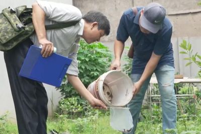 Hà Nội ghi nhận thêm 15 ổ dịch sốt xuất huyết