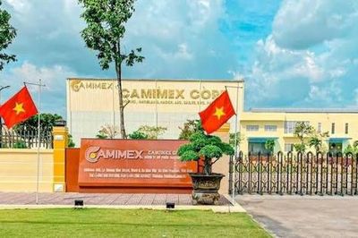 Camimex Group (CMX) rầm rộ gọi vốn gần 700 tỷ đồng, quy mô vượt xa mức vốn hóa