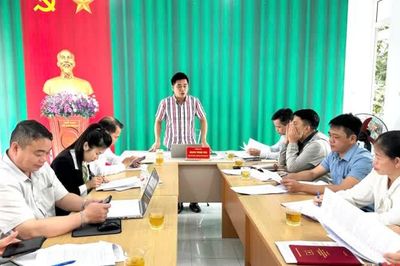 Xã Nam Tuấn triển khai lộ trình phát triển 10 ha trồng dâu, nuôi tằm