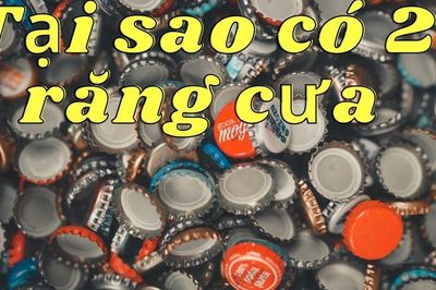 Tại sao nắp chai bia luôn có 21 răng cưa?