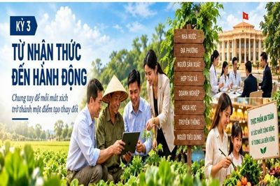 Xây dựng hệ thống lương thực, thực phẩm bền vững - Kỳ 3: Từ nhận thức đến hành động