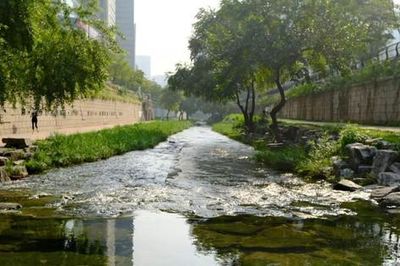 Khơi lại những dòng sông giữa lòng thành phố