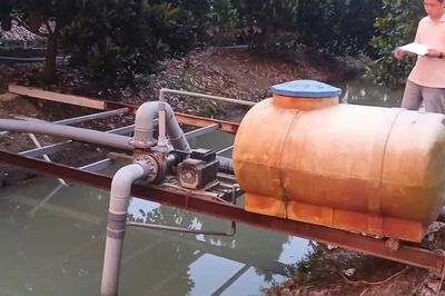 Điều tra vụ người đàn ông tử vong dưới ao nước trong vườn mít