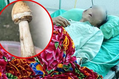 4 người trong một gia đình nhập viện sau bữa cơm có nấm lạ