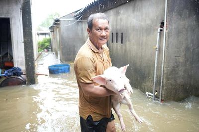 Mưa lớn gây ngập nhiều khu dân cư ở Quảng Ngãi