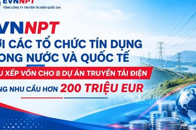 EVNNPT: Nhu cầu vốn vay cho 8 dự án truyền tải điện lên tới 200,9 triệu EUR