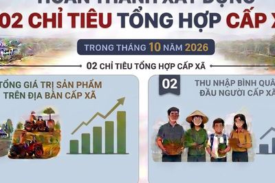 Hoàn thành xây dựng 02 chỉ tiêu tổng hợp cấp xã trong tháng 10/2026