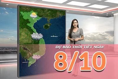 [Video] Dự báo thời tiết ngày 8/10/2026: Cảnh báo ngập úng do mưa đặc biệt lớn tại Trung Bộ