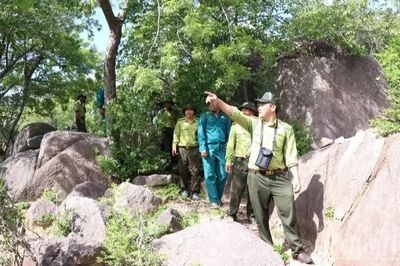 Chuyện những người giữ rừng, giữ bình yên cho muôn loài