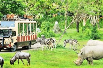 Thông qua chủ trương đầu tư xây dựng Công viên Safari Ba Vì tại Hà Nội