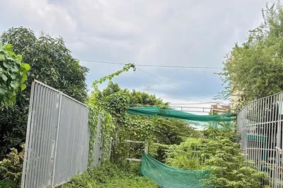 Đất đã cưỡng chế bàn giao, sao còn tranh chấp kéo dài?