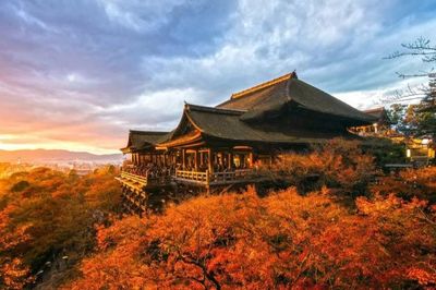 Du khách Việt nô nức mua tour xuất ngoại ngắm lá đổi màu