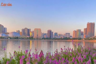 [GALLERY] Tránh đông ở hồ Gươm, bạn trẻ săn thảm hoa violet ở địa điểm mới