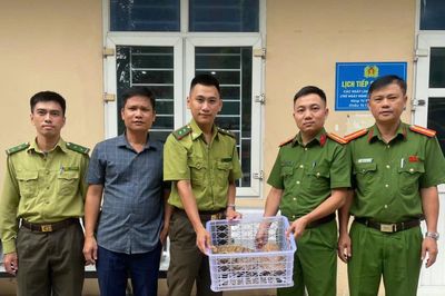 Giao nộp 2 cá thể rùa quý hiếm