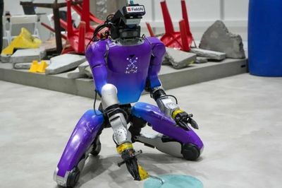 Robot hình người tham gia rà phá bom mìn, ứng phó thảm họa tại Singapore từ 2028