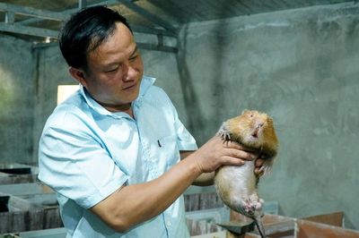 Bán nhà sàn, người đàn ông Thái 'đánh cược' 500 triệu vào dúi, cầy hương