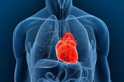 AI giúp phát hiện đào thải tim ghép không cần sinh thiết