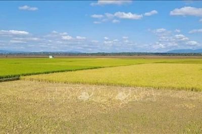 Chủ động ứng phó nguy cơ thiếu hụt nguồn nước do El Nino