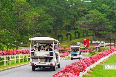 Lâm Đồng tăng trưởng GRDP 8,51%, kỳ vọng Festival Hoa tạo cú hích cuối năm