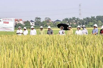 Điểm tựa xây dựng nông thôn mới