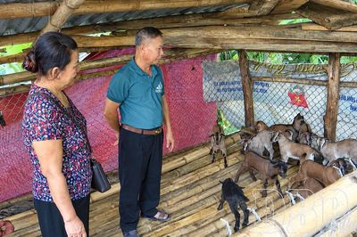 Đa dạng sinh kế, nâng cao thu nhập cho nông dân