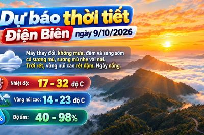 Bản tin Dự báo thời tiết ngày 9/10/2026