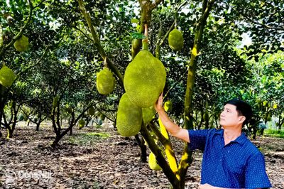 Những xã nông thôn mới đầu tiên của thành phố