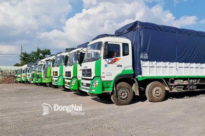 Doanh thu vận tải, kho bãi, dịch vụ hỗ trợ vận tải tăng 20,5%