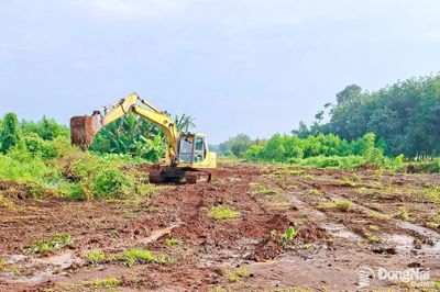 Đã nhận bàn giao mặt bằng gần 280ha phục vụ thi công Dự án Đường vành đai 4 - Thành phố Hồ Chí Minh