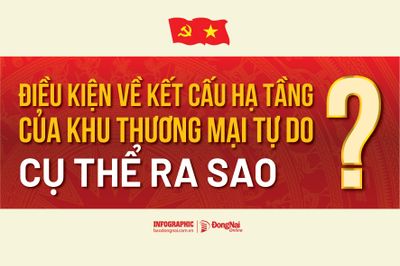 [Infographic] Điều kiện về kết cấu hạ tầng của khu thương mại tự do cụ thể ra sao?