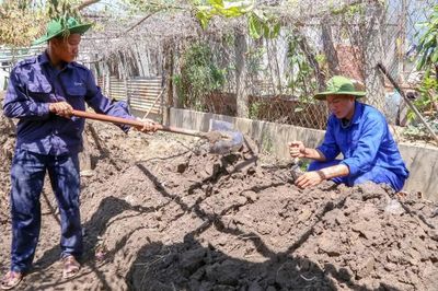 Khẩn trương tìm kiếm, quy tập hài cốt liệt sĩ