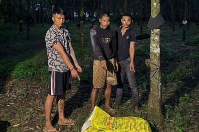 Khởi tố 3 đối tượng trộm 110 kg mủ cao su lúc rạng sáng