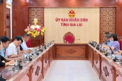 Phó Chủ tịch UBND tỉnh Nguyễn Thị Thanh Lịch làm việc với CLB Quy Nhơn United
