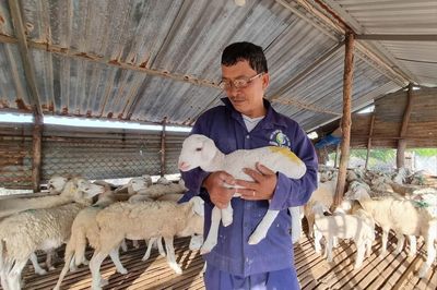 Nâng cao giá trị sản phẩm dê, cừu