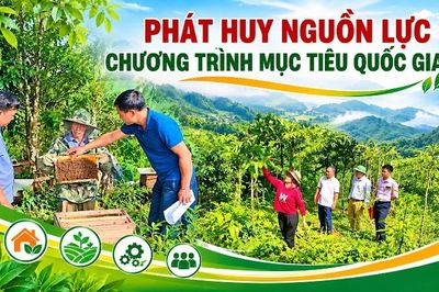 Phát huy nguồn lực chương trình mục tiêu quốc gia