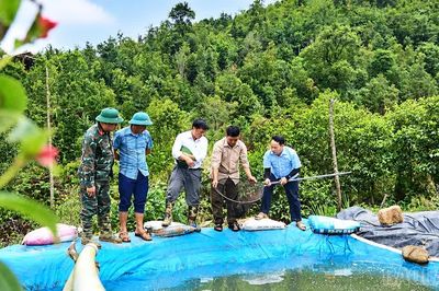 Người tiên phong nuôi cá nước lạnh trên đỉnh Lùng Cúng