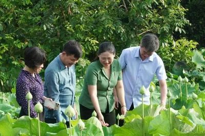 Việt Hồng đón hơn 24.000 lượt khách du lịch