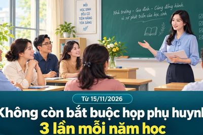 Từ 15/11/2026, không còn bắt buộc họp phụ huynh 3 lần mỗi năm học