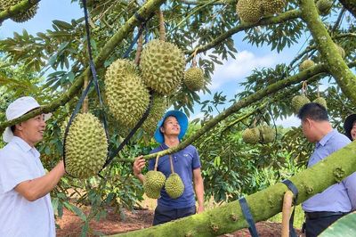 Những nông dân hợp tác vươn lên