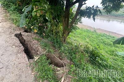Chủ động ứng phó sự cố sạt lở bờ sông Bứa