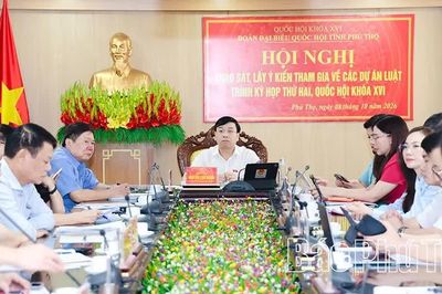 Đoàn đại biểu Quốc hội tỉnh lấy ý kiến về các dự án luật thuộc lĩnh vực y tế, an sinh xã hội