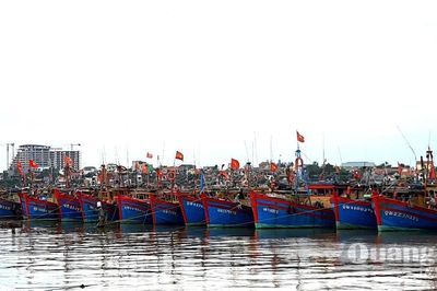 Phường Đồng Hới: Phấn đấu 100% bến neo đậu tàu, thuyền an toàn về phòng cháy, chữa cháy