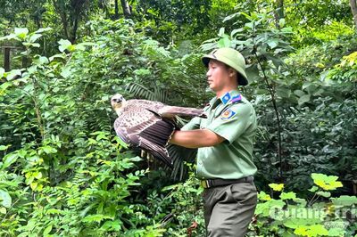 Thả 17 cá thể động vật hoang dã về môi trường tự nhiên