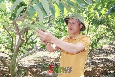 Đổi mới tư duy sản xuất ở các hợp tác xã nông nghiệp