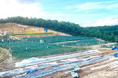 Phấn đấu toàn thành phố giảm 688 - 1.040 hộ nghèo