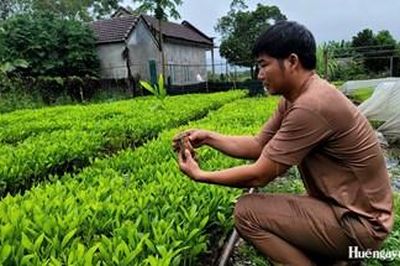 Thêm điểm tựa, tạo sinh kế