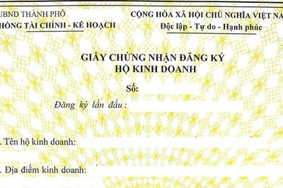 Hồ sơ đăng ký hộ kinh doanh kê khai không trung thực bị xử lý thế nào?