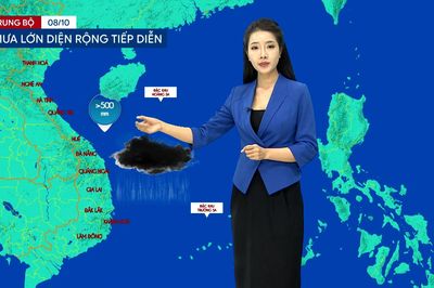 Dự báo thời tiết tối | 08/10/2026