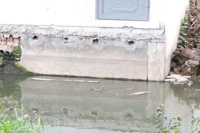 Đồng Sậy – Trẫm Sau: Gần 15 năm chờ hệ thống thoát nước